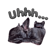 839286762
