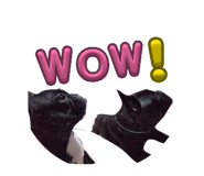 839286765