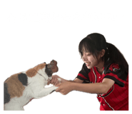 839287611