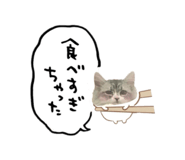 839291250