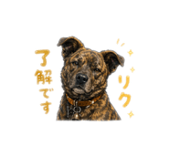 839291447