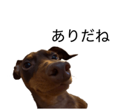 839291600