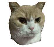 839291859