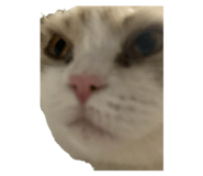 839291860