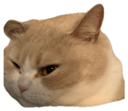 839291861