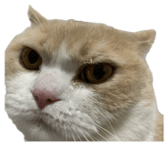 839291862