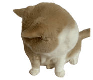 839291867