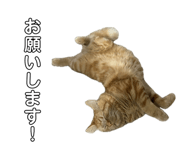 839291972