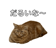 839291980