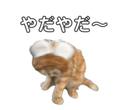 839291984