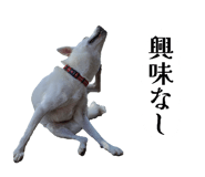 839292238