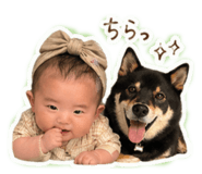 839292442