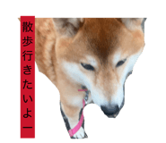 839292617