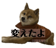 839292640