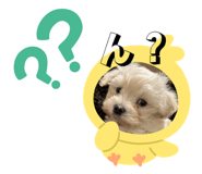 839292953