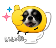 839293033
