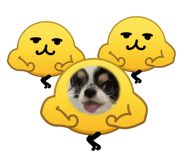 839293034