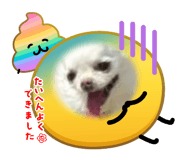839293038