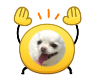 839293041