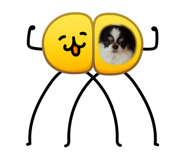 839293042