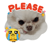 839293043