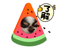 839293046