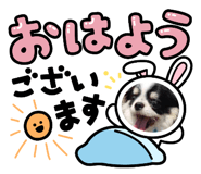 839293061