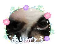 839293066
