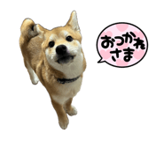 839293308