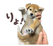 839293312