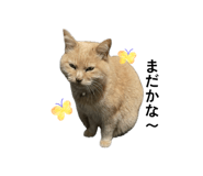 839293475