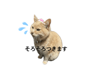 839293476