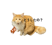 839293482