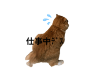 839293484