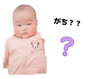 839293555