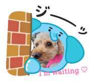 839293591