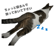 839293836