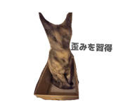 839293839