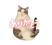 839294260