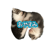 839294264