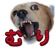 839294410