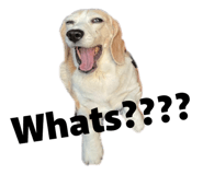 839294412