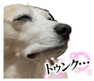 839294422