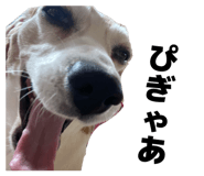 839294424