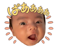 839294455