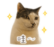 839295412