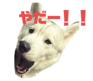 839299066