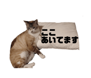 839299769