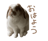 839299961