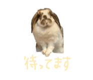 839299964